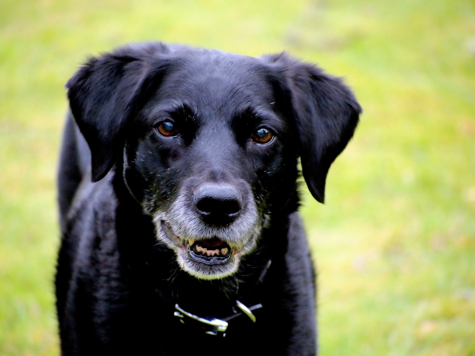 Injuries, Illnesses, and Fatalities - U.S..