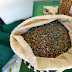 Día Nacional del Trigo: “Bibosi CIAT”, nueva variedad de semilla de trigo presentada por la Gobernación