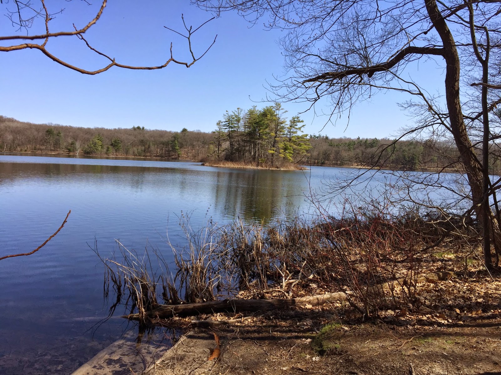 Travel Reviews & Information Camping on Gun Lake in Middleville, Michigan / Yankee Springs