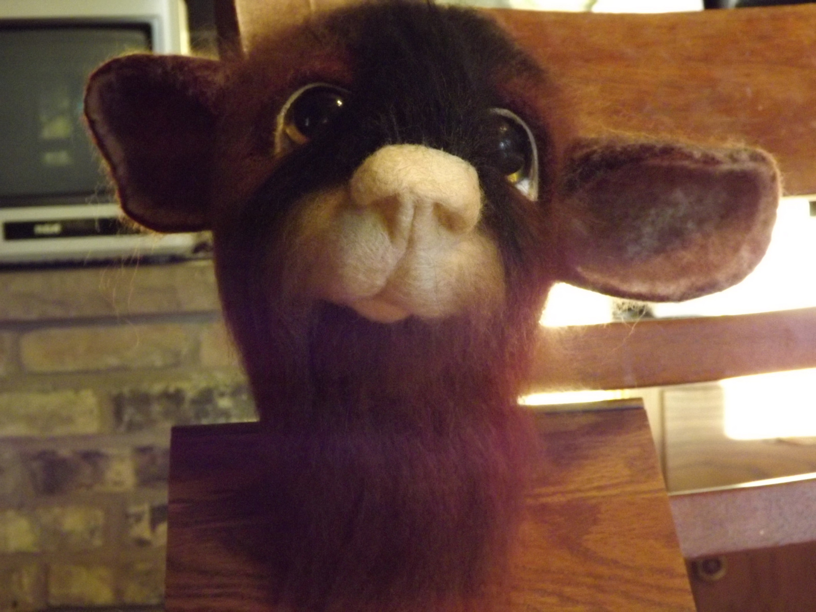 Eyes Of Time Pictorial for adding eyes and ears to needle felt animals