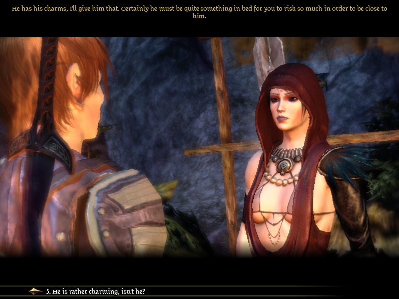 Dragon age подарки для винн 14