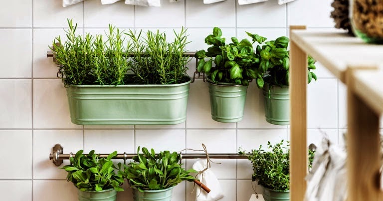 Decoración Fácil: UN PEQUEÑO HUERTO EN LA COCINA