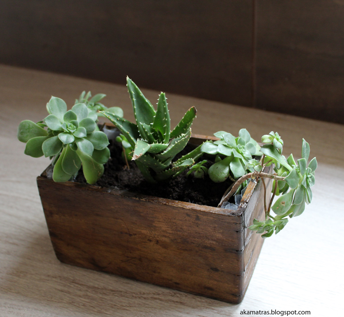 Reclaimed wooden planter for succulents DIY Akamatra