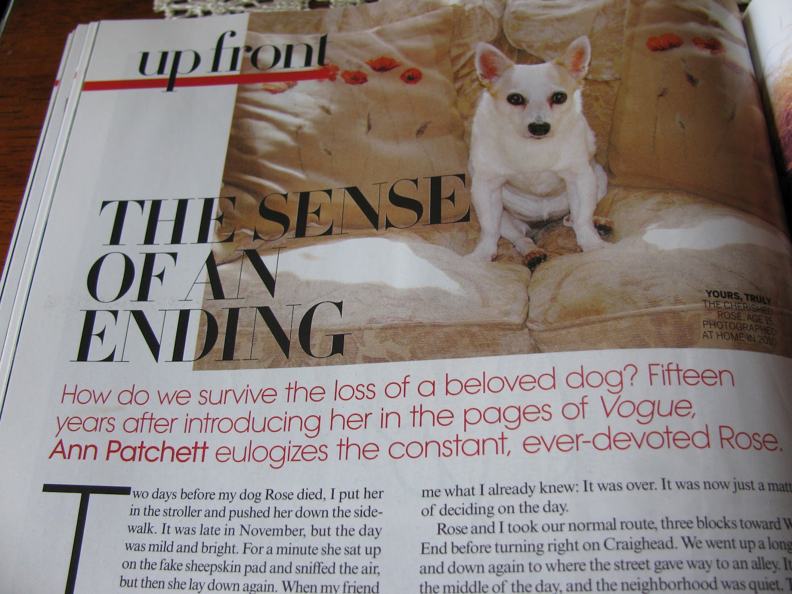 Anne patchett new yorker picture