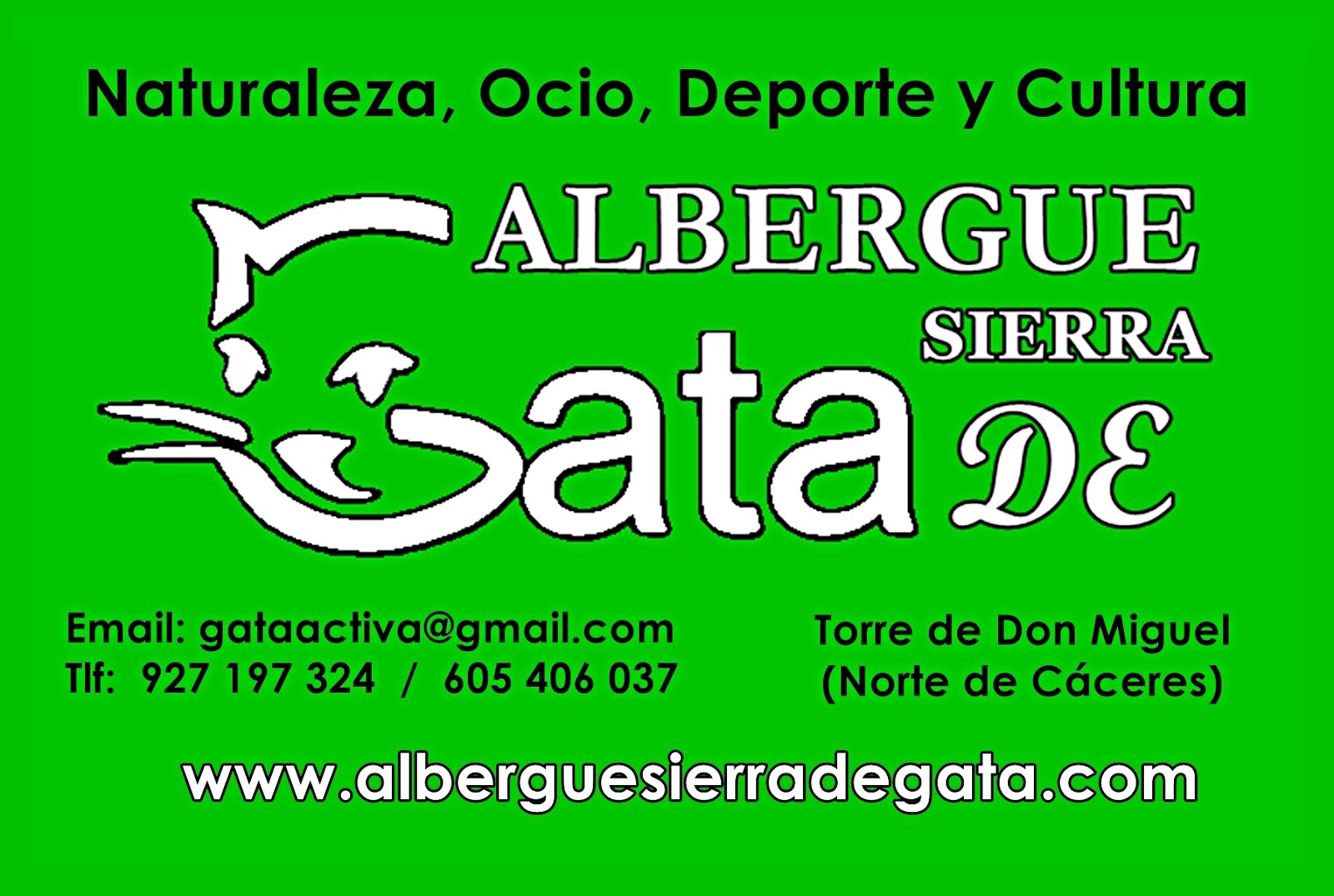 .Vista nuestra web