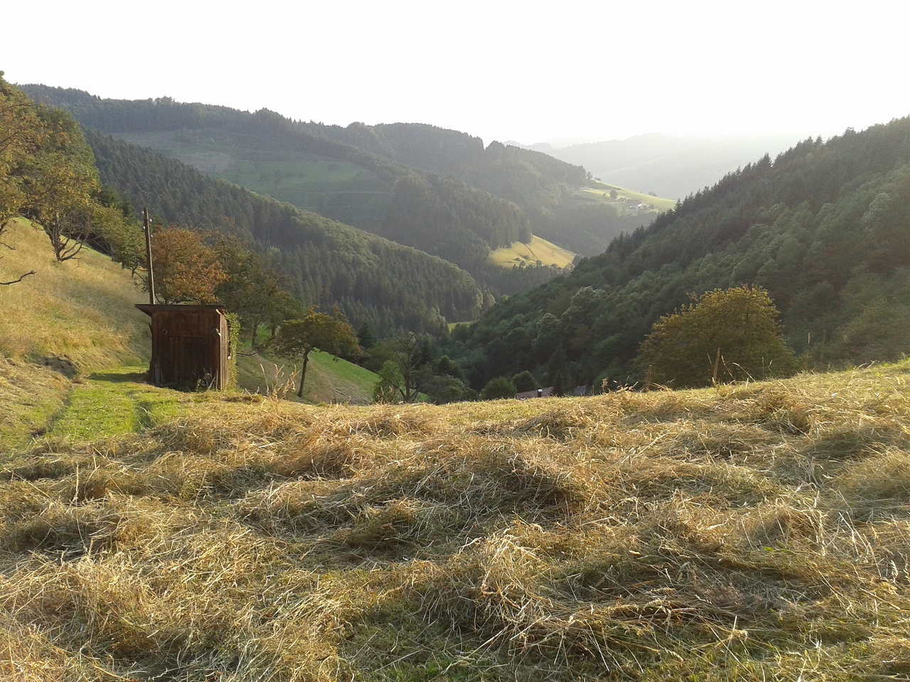 Bloggertreffen In Pforzheim Judysdelight