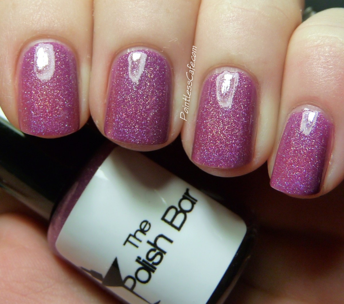 The Polish Bar Fall 2013 Preview Swatches and Review Pointless Cafe