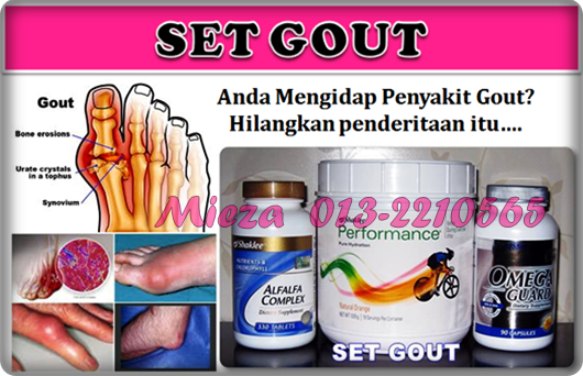 SET GOUT