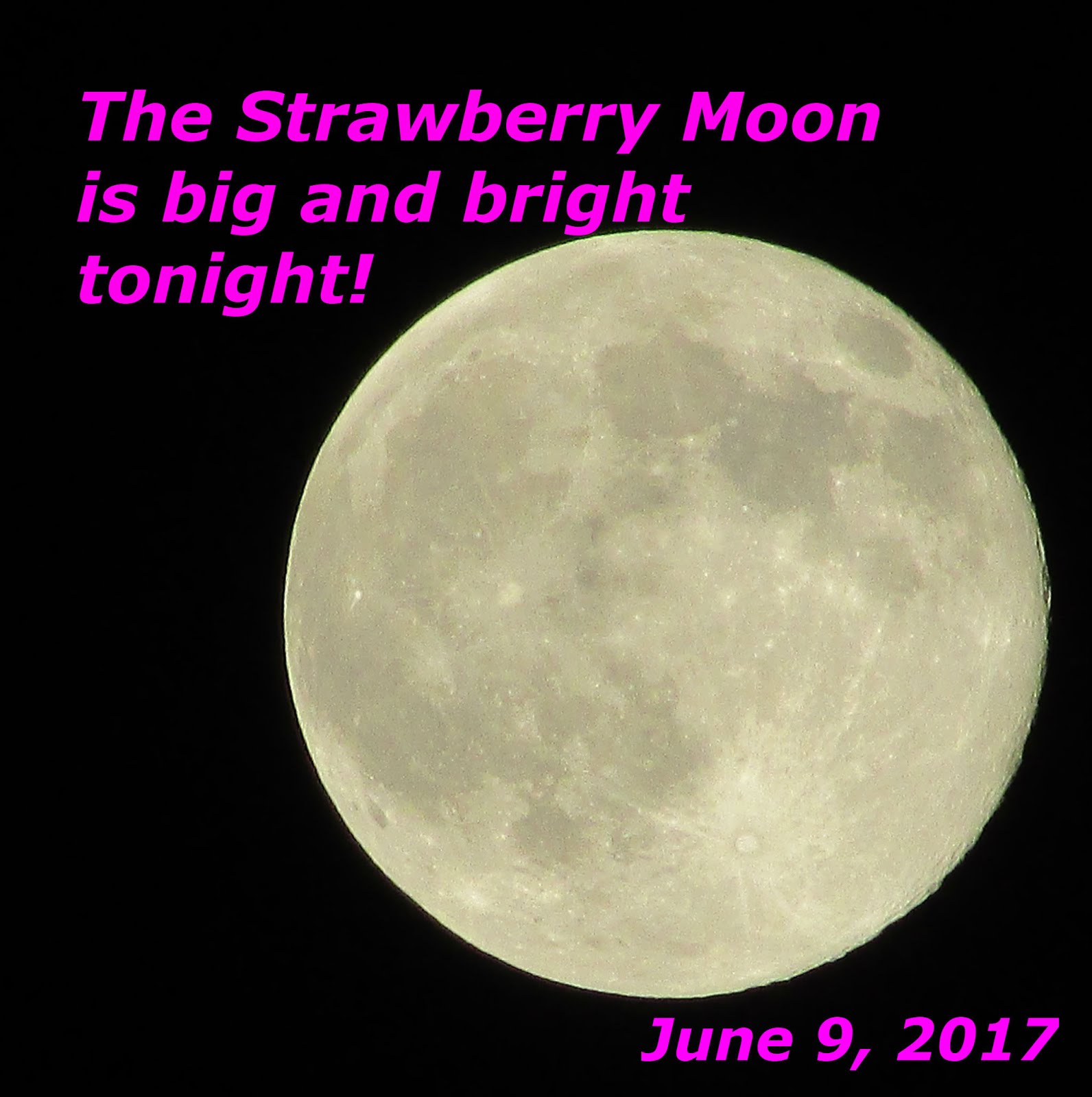Big bright Moon--in the month of June!