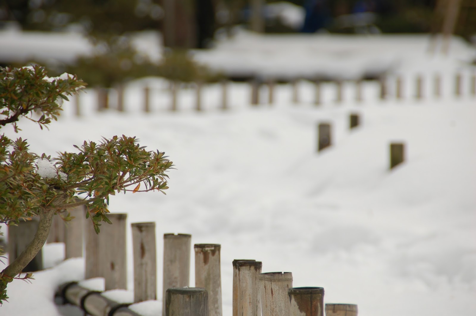 我的旅遊世界 09 日本 名古屋 金沢之旅day 3