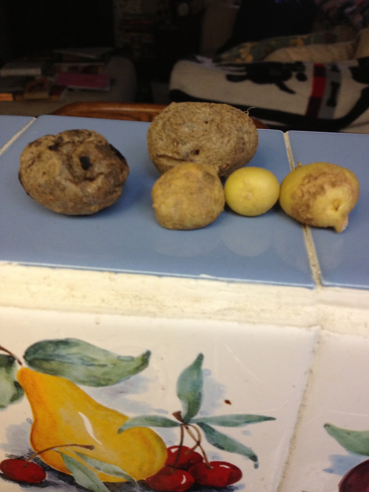 Fast, Cheap, and Good Sustainability, One Choice at a