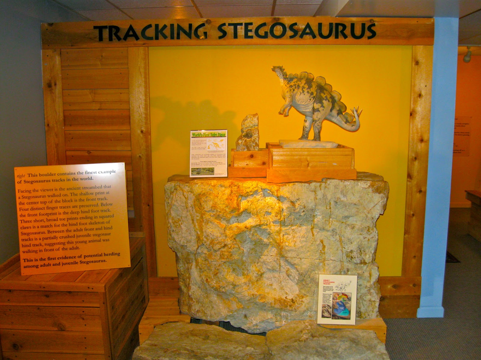 Impression Evergreen A Dinosaur Highway Through Morrison, Colorado