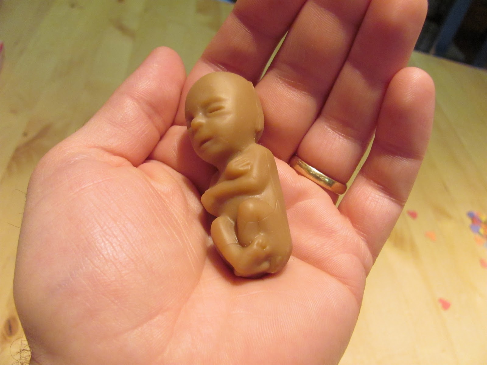 Wright Family USA Are these kids all yours? Pregnancy