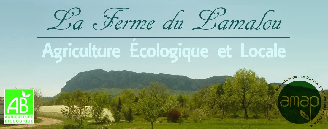 La Ferme du Lamalou - AMAP