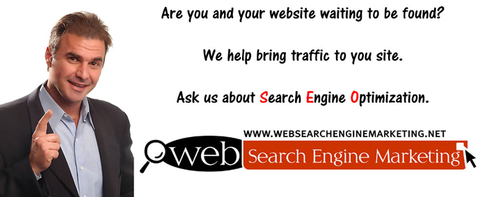 Web Search Engine Marketing