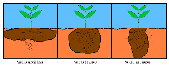 Tipos de suelos