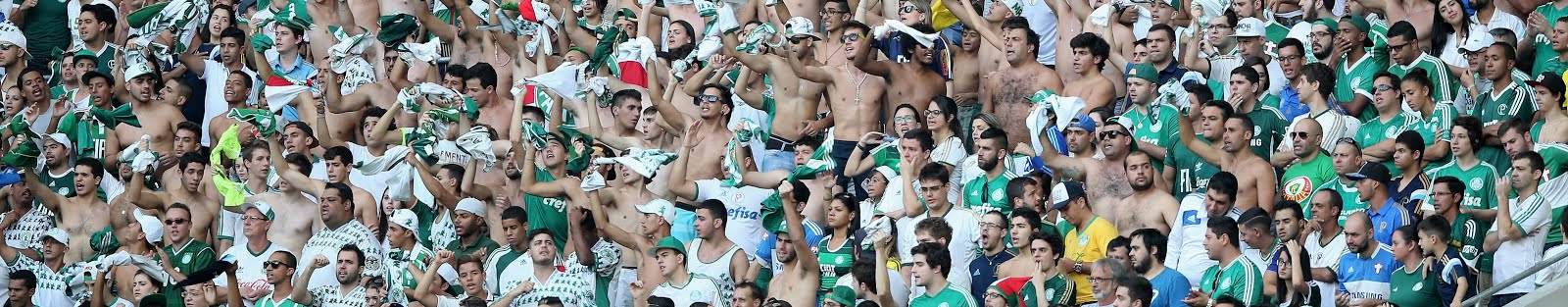 Palmeiras Notícias, Jogos, Novas Contratações, Tudo Sobre o Palmeiras