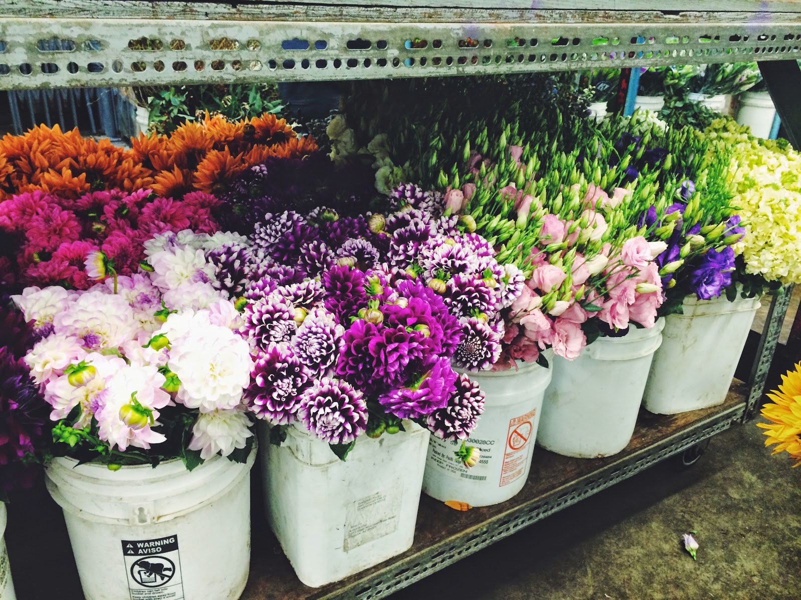 SF flower mart WellTraveled Wife