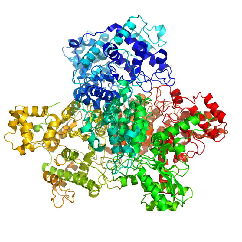 Enzyme Informatics