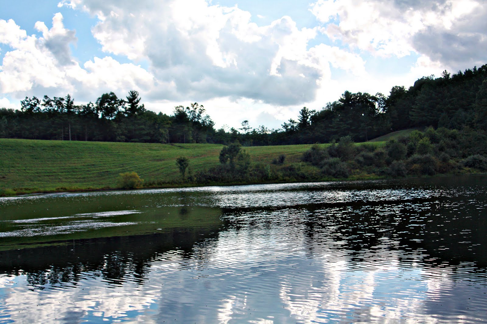 Hopeful Todd Lake 2011