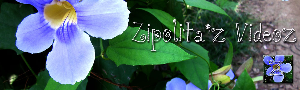 Zipolita’z Videoz