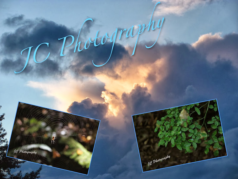 JC Photography