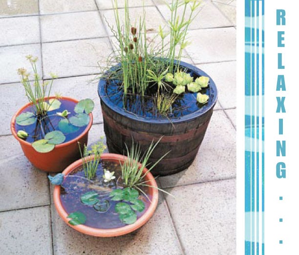 Design Plus You: DIY: Outdoor Water Garden