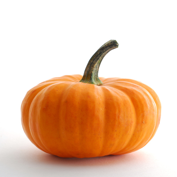 pumpkin.jpg
