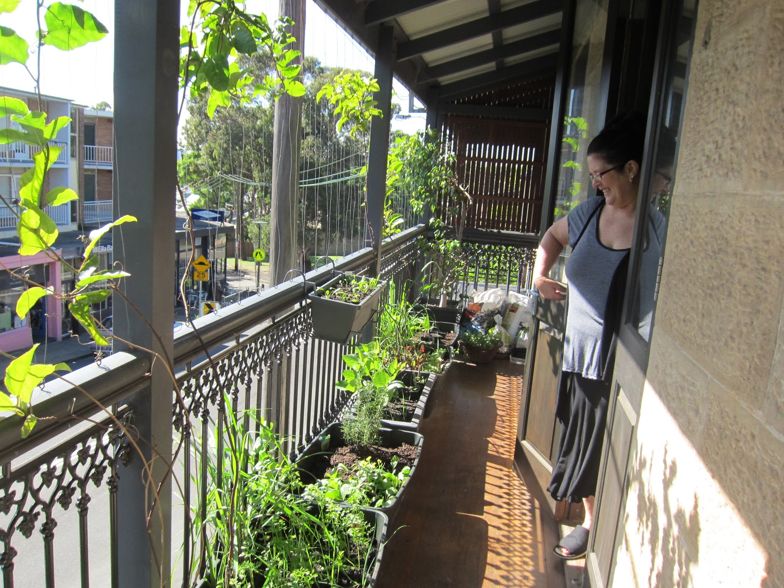 Balcony Garden Dreaming Japanese Edible Balcony Garden, Balmain, Sydney