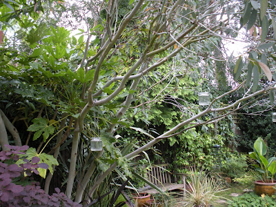 Victoria's backyard: September 2011