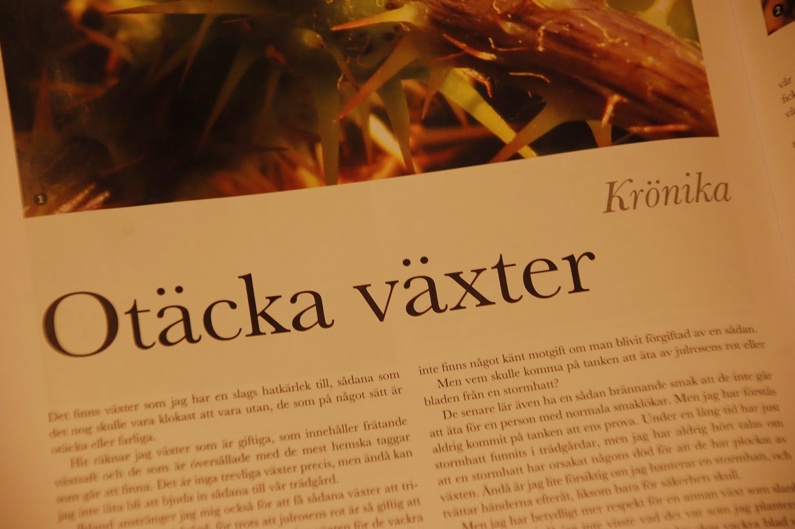 Svanå trädgård: nummer 1, 2015.