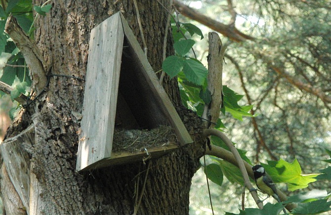 Aschinger At The Alexanderplatz Weimar Berlin