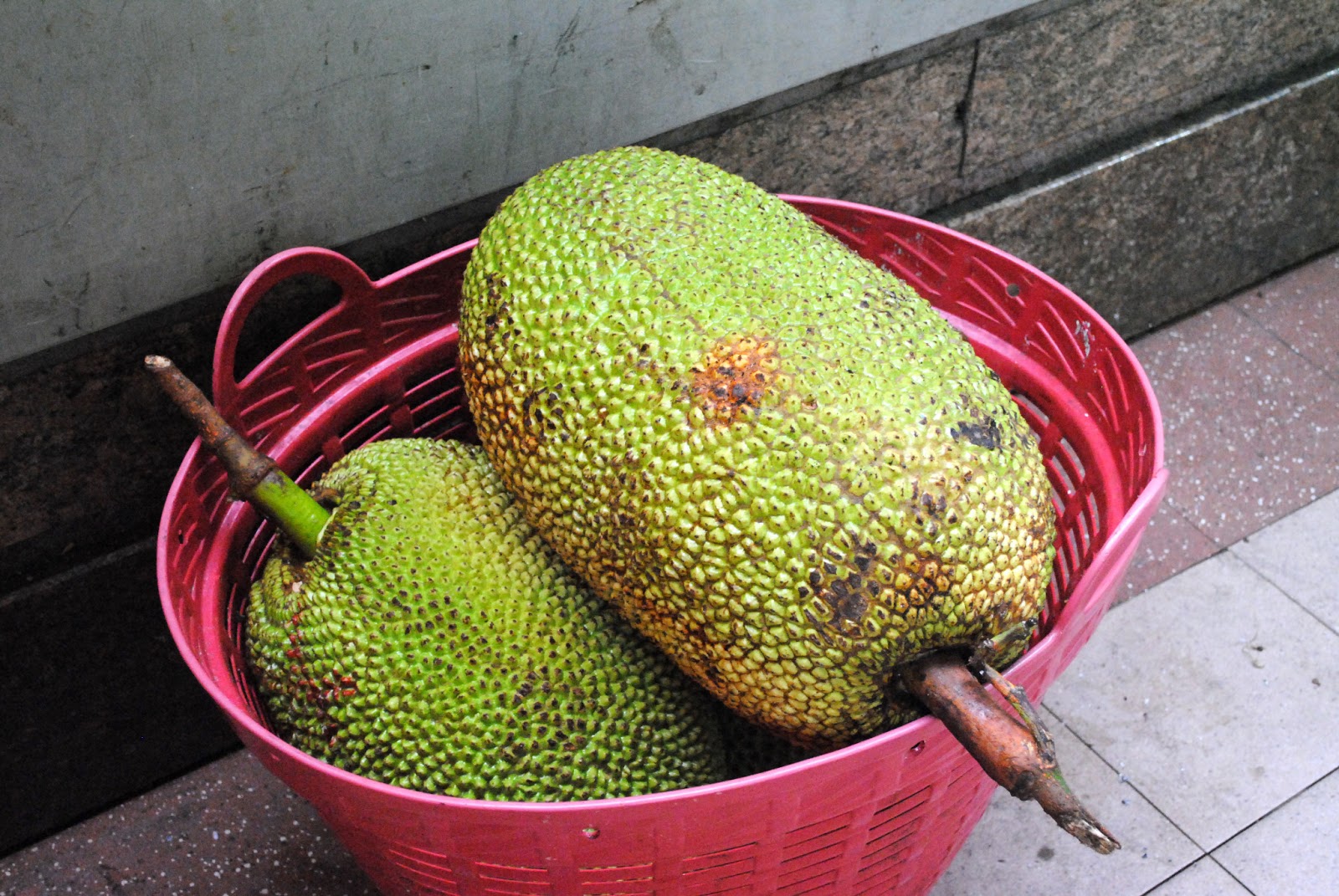 Singapore Wild City Feel fruit to taste 05 The Jackfruit