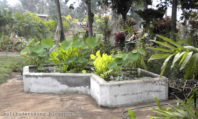 Solitude Rising: February 2012