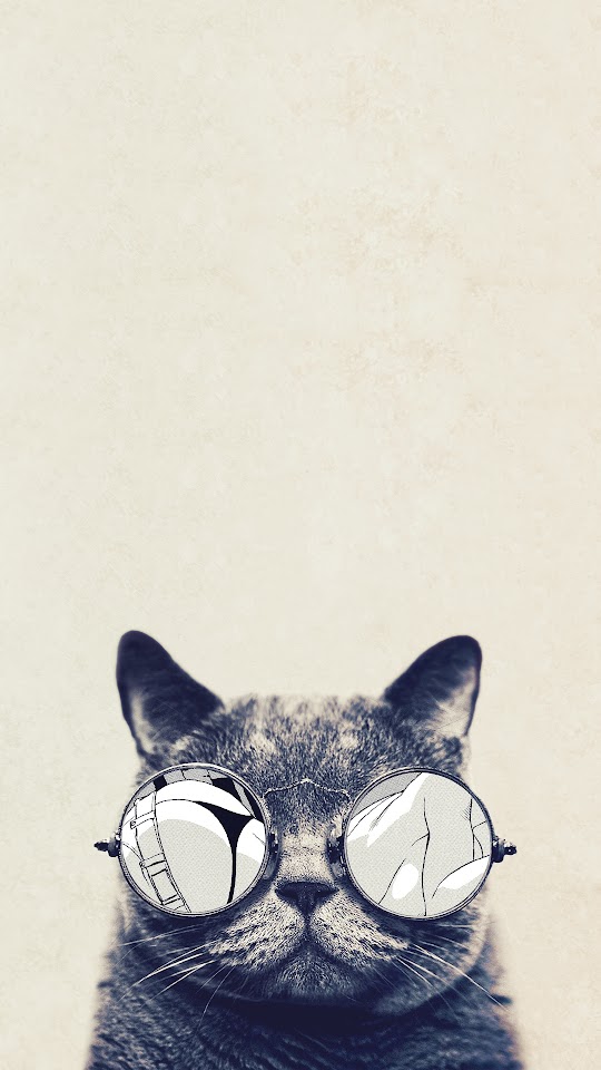 Cool Cat Glasses  Android Best Wallpaper
