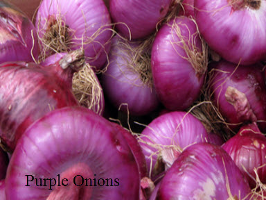 Onion Kills Flu Germs