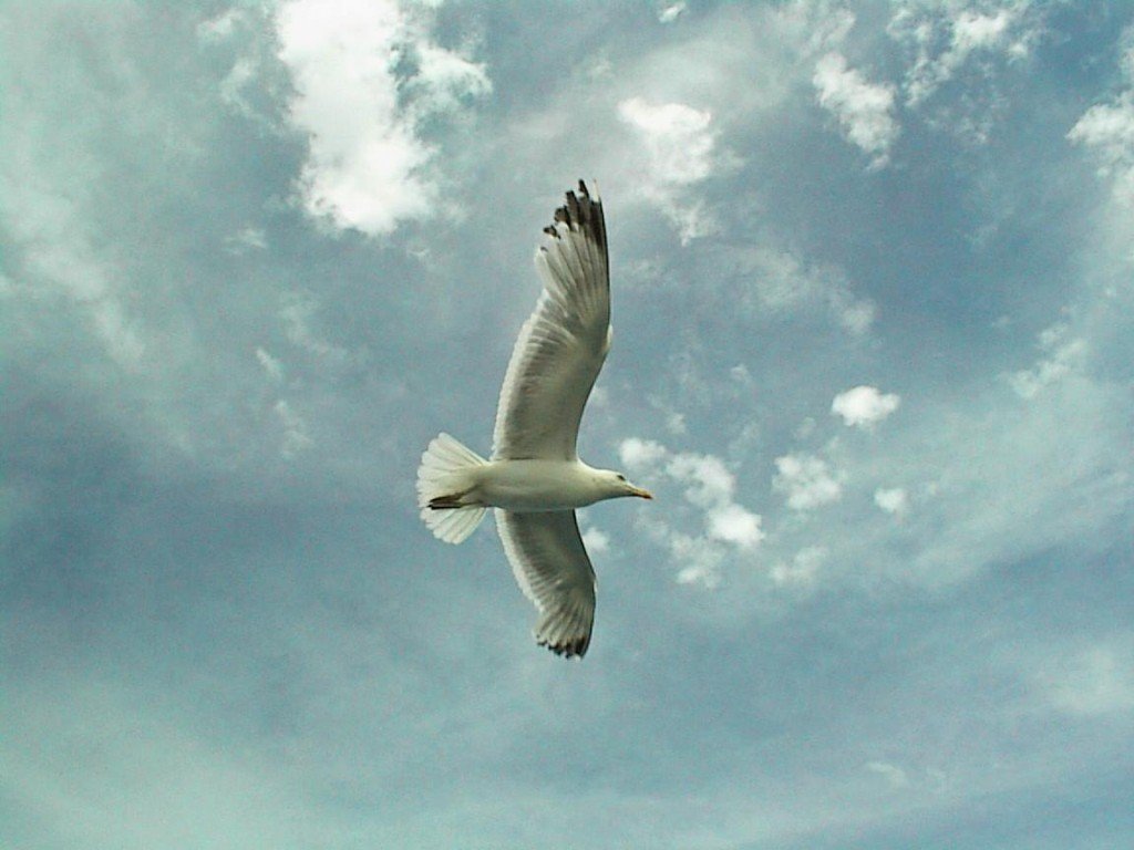 Timeless Parables For Regaining Perspective When bad fortune hits it can be devastating. So, in order to keep my perspective in life, I often refer to various parables that help me keep my perspective.