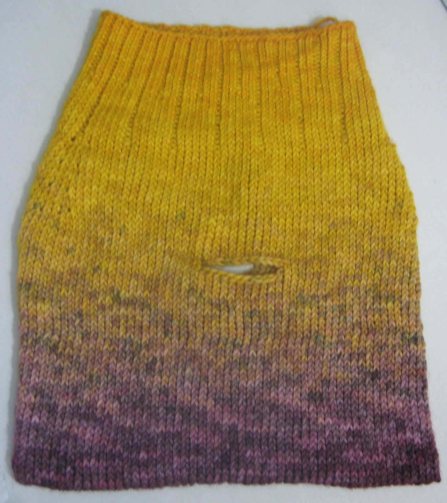 Chaleur Running Buddy Blanket