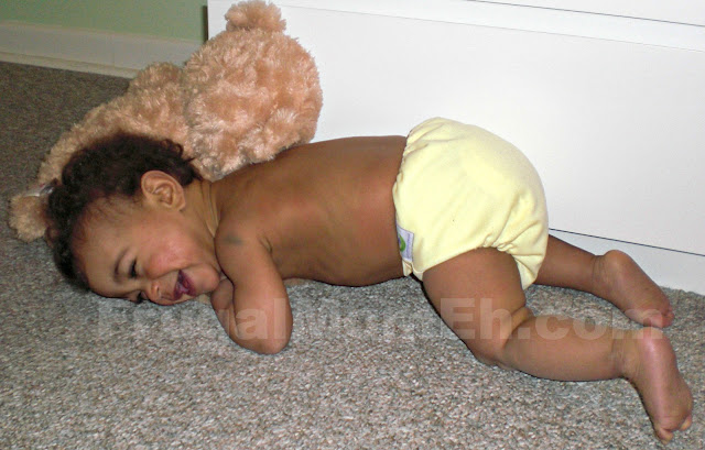 Sweet Pea One Size Cloth Diaper