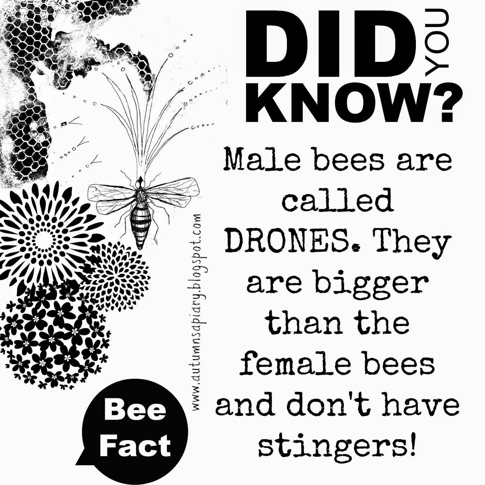 Did you know by Autumn's Apiary