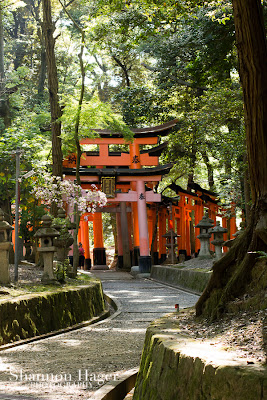 Shannon Hager Photography, Kyoto, Fushimi-Inari Shrine