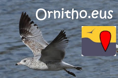 Ornitho.eus