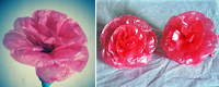 bunga mawar dari plastik