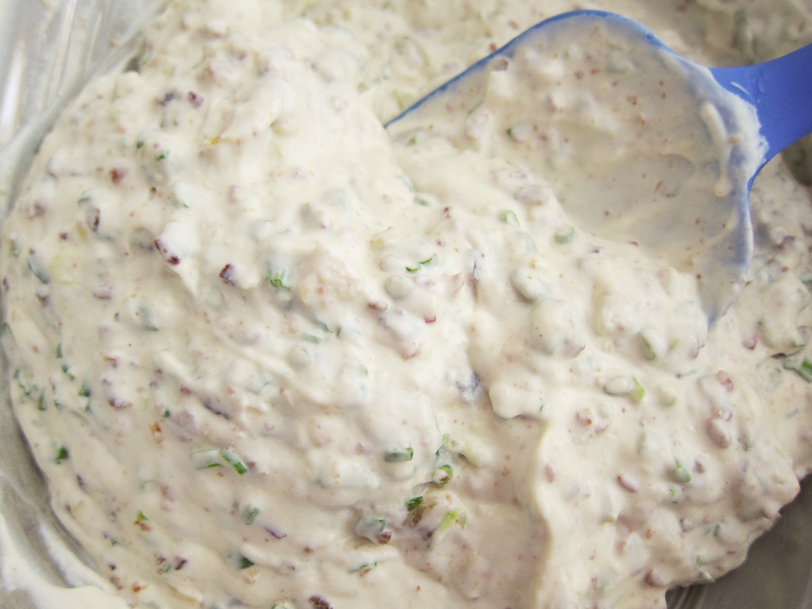 Bloatal Recall Roasted Garlic Bacon Dip