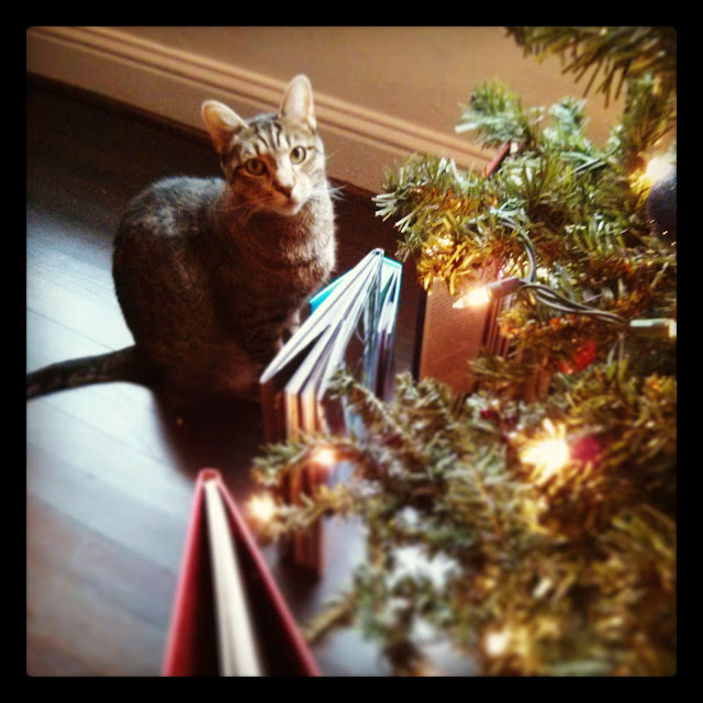 Recipe for a well trimmed christmas tree Light Green: 24 Days to Christmas: Day 12