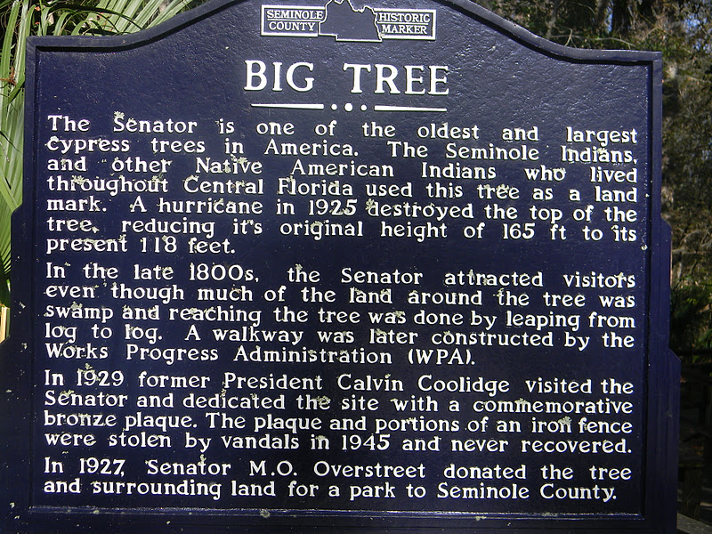 Big Tree Park