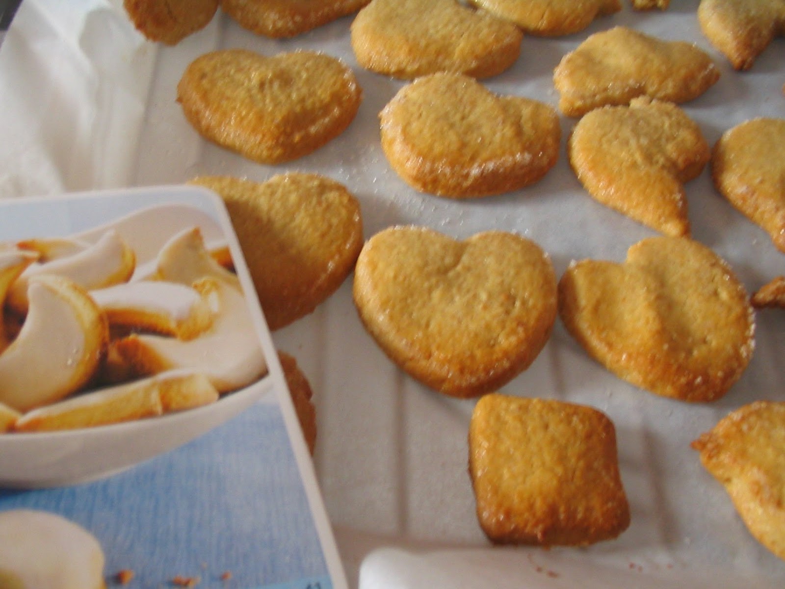 Galletas Aptas Para Intolerantes A La Lactosa