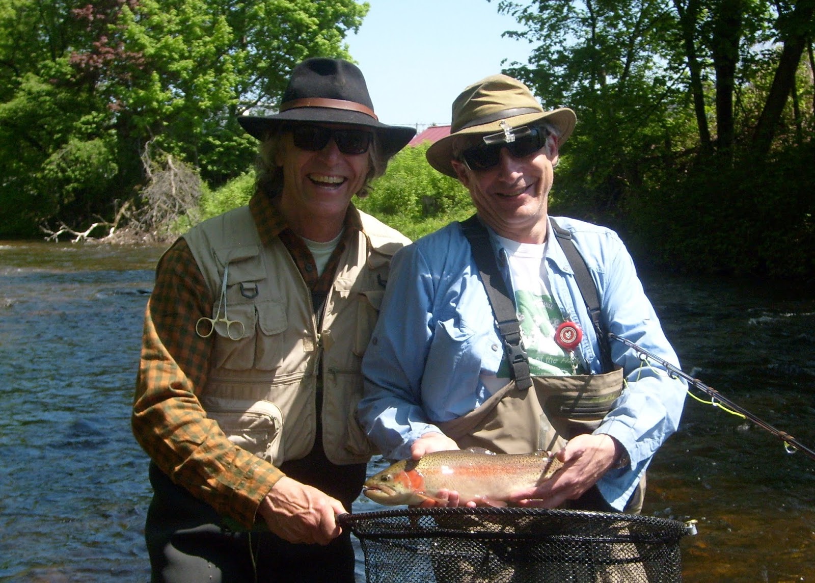 Vermont Fly Fishing WILD SOUTHERN VERMONT BROOK TROUT