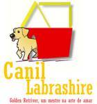 Canil Labrashire