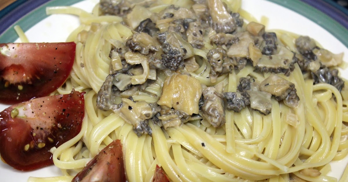 The Mushroom Hunter Pasta with creamy Morel sauce